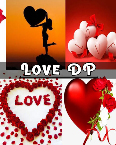 Love DP