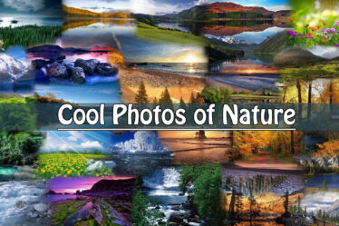 Cool Photos of Nature