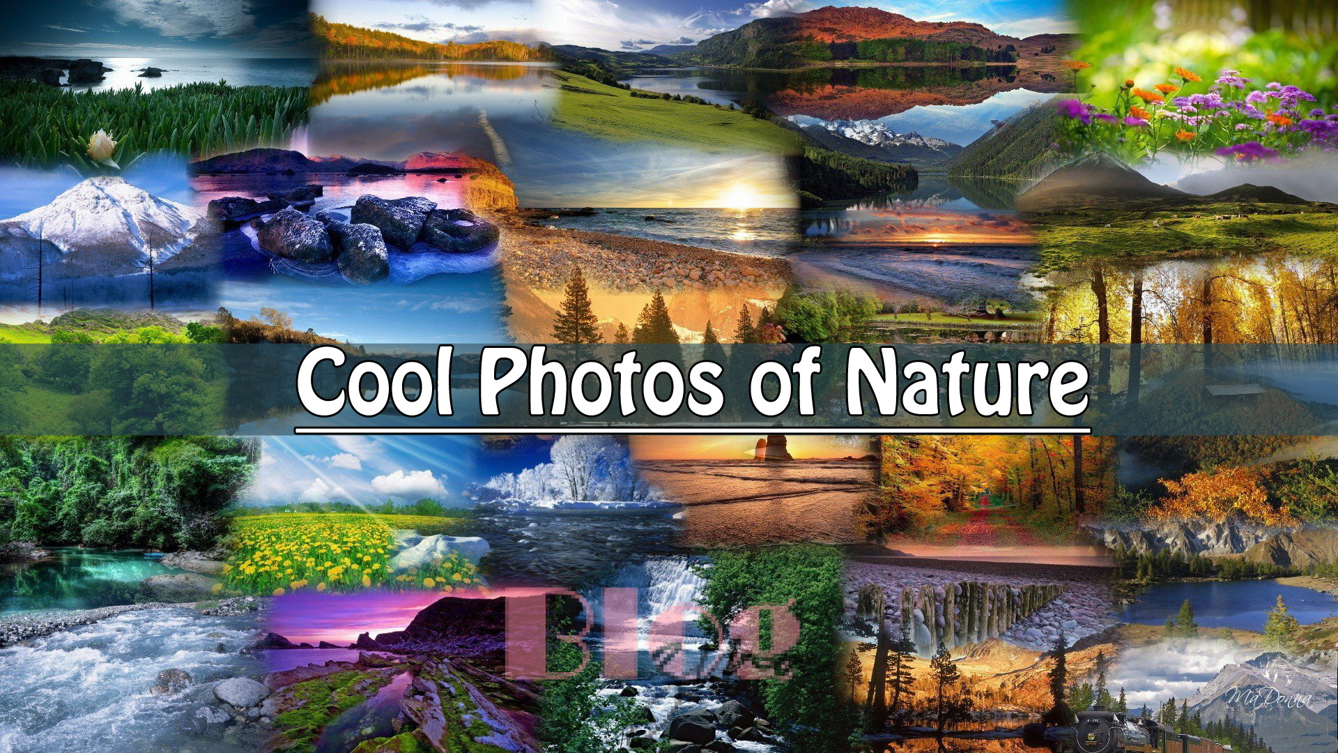 Cool Photos of Nature