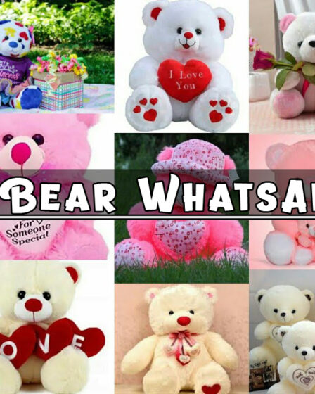 Teddy Bear WhatsApp DP