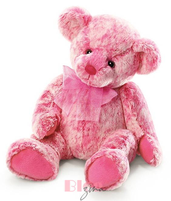 Cute Pink Teddy Bear DP
