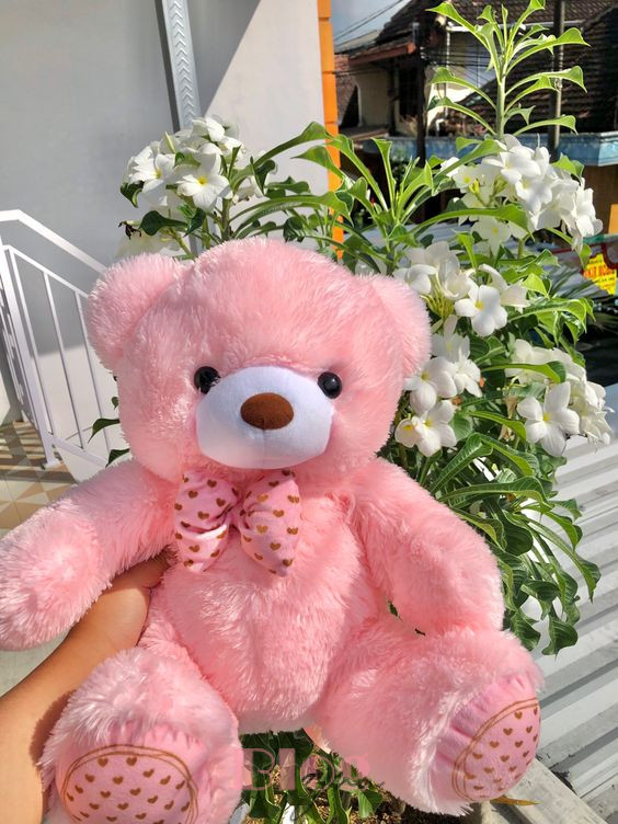 Pink Teddy Bear DP Images