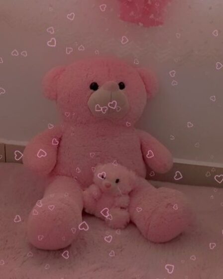 Pink Teddy Bear DP Image For Whatsapp and Facebook