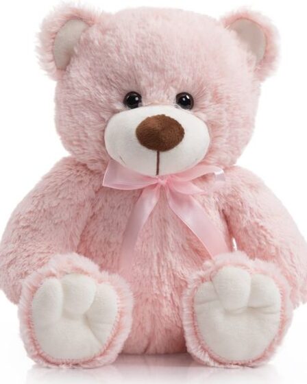 pink teddy bear dp