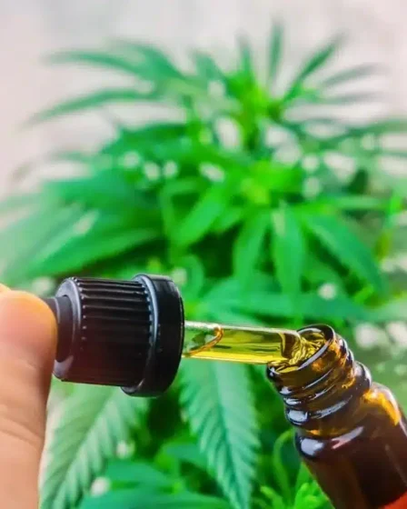 Europe with CBD Products