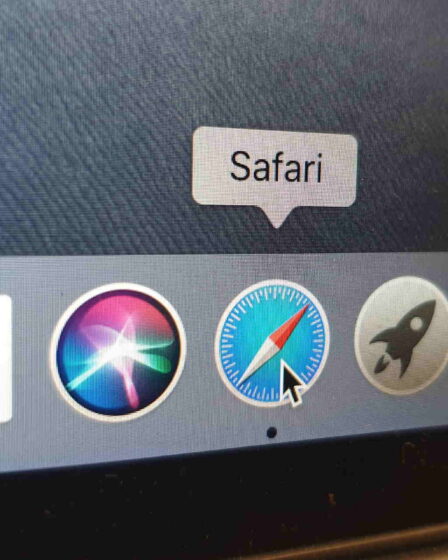 Safari for Windows