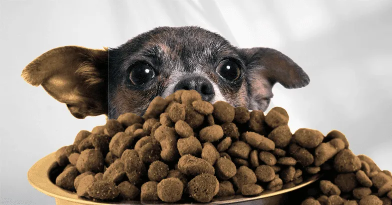 Dry Dog Food