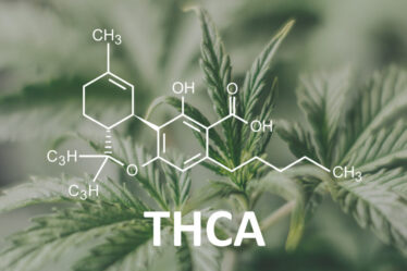 THC-A Products