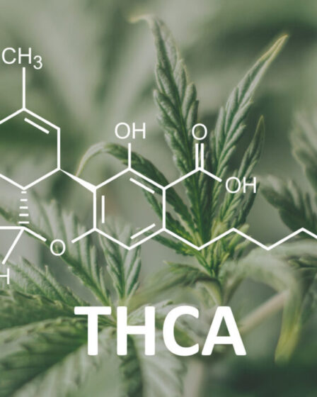 THC-A Products