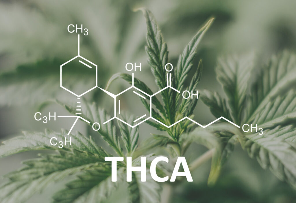 THC-A Products