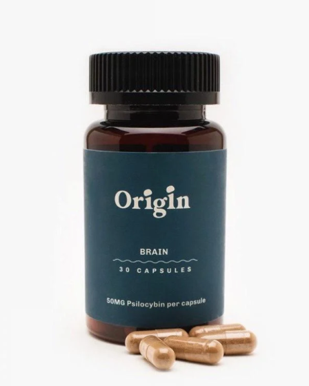 Brain Health Mushroom Capsules