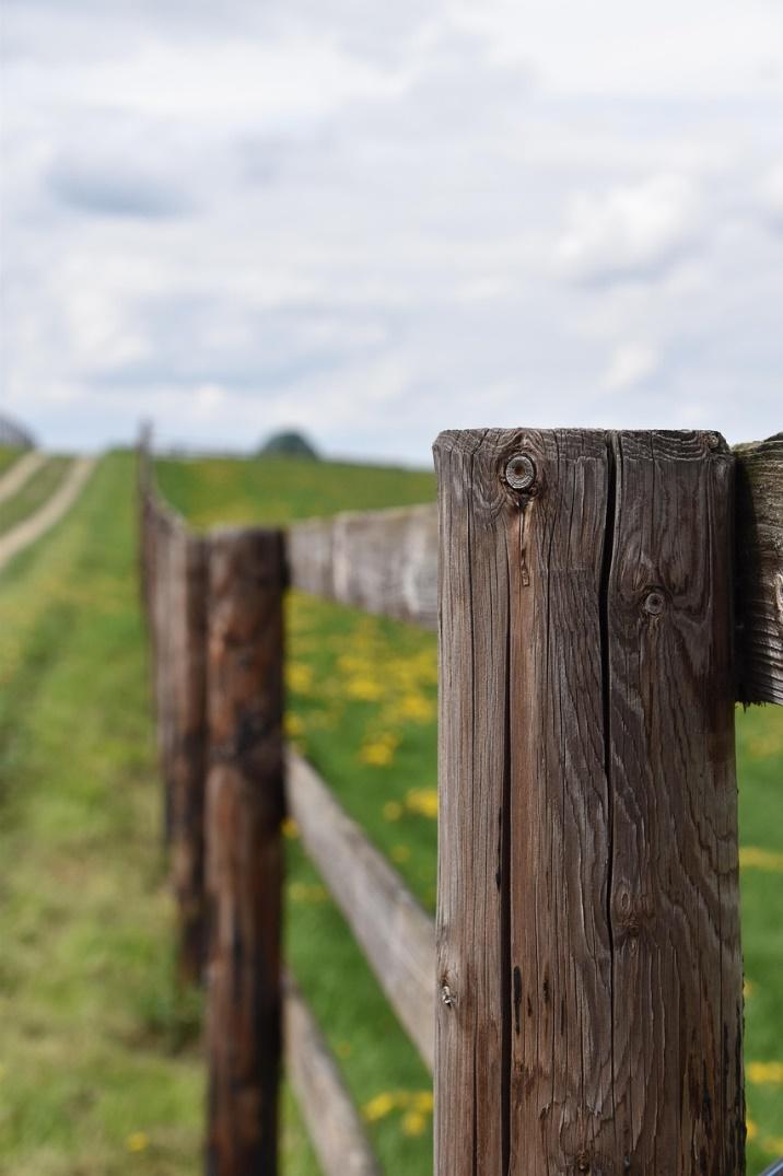 Wooden Fencing