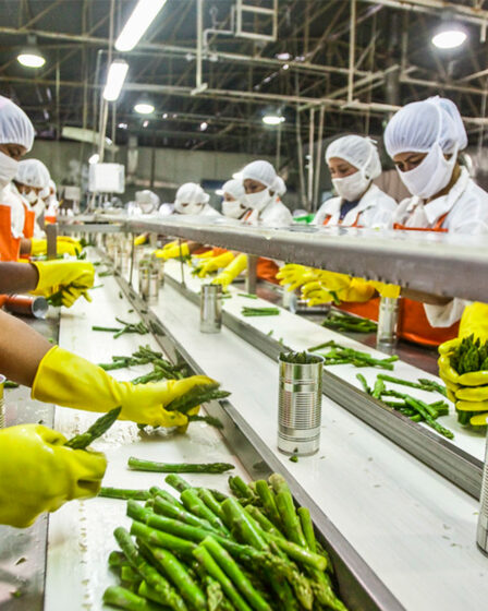 Food Production
