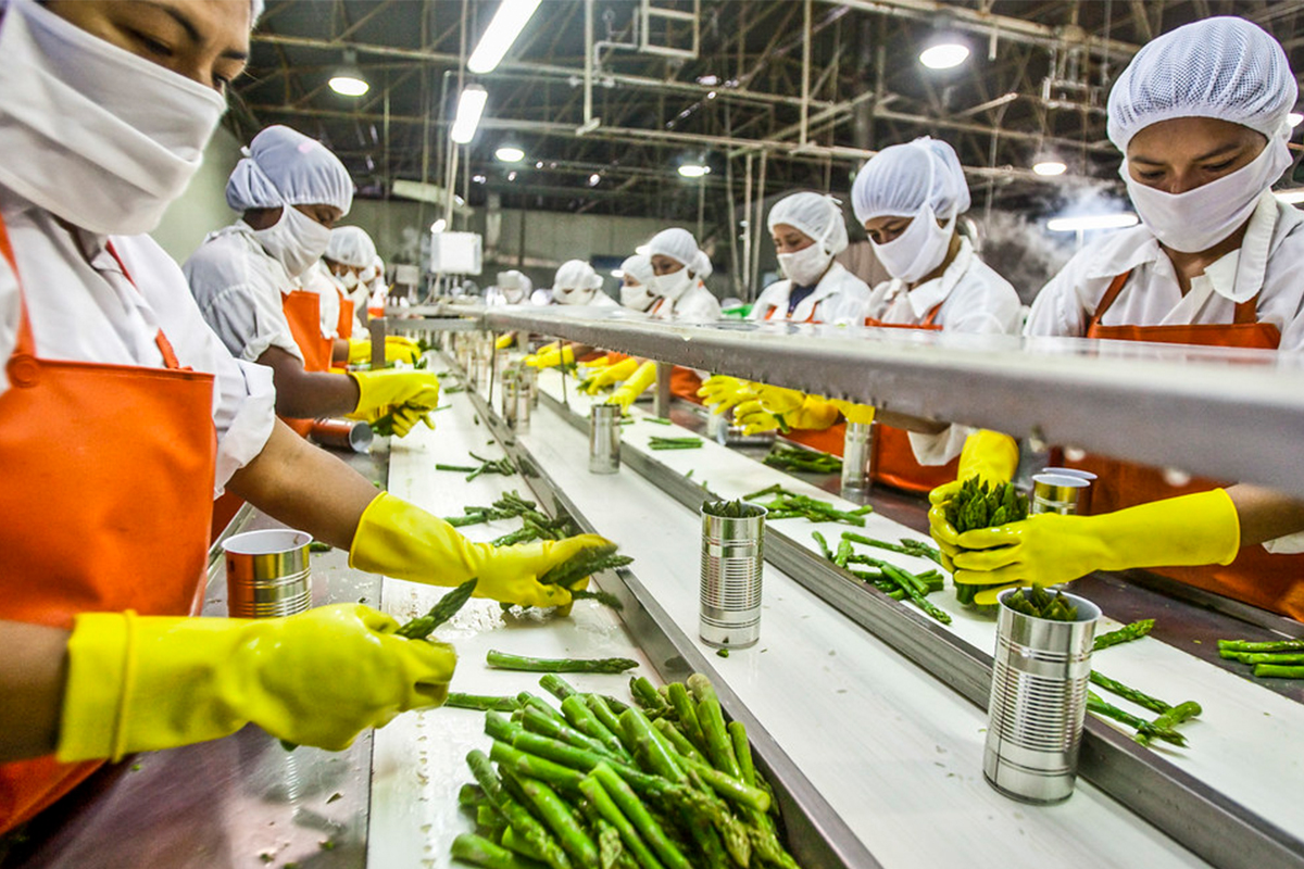 Food Production
