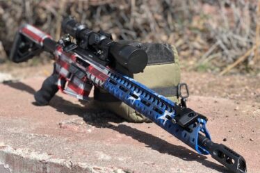 Custom AR-15