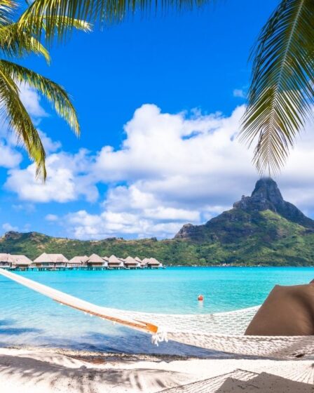 Island Vacation