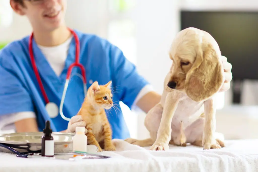 Animal Hospitals