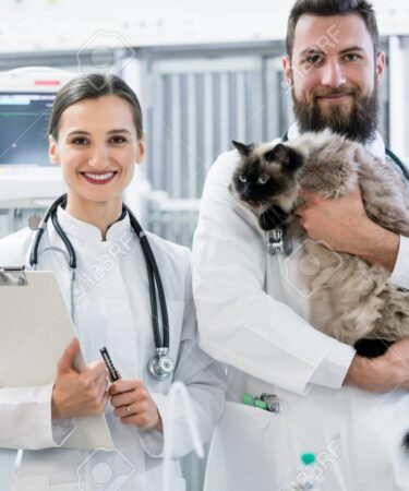 Veterinary Hospital