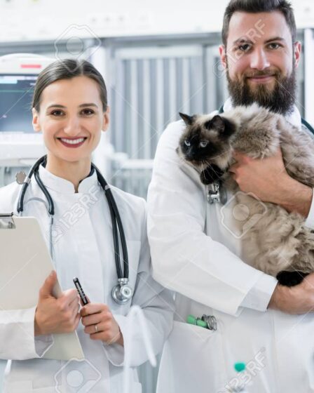 Veterinary Hospital