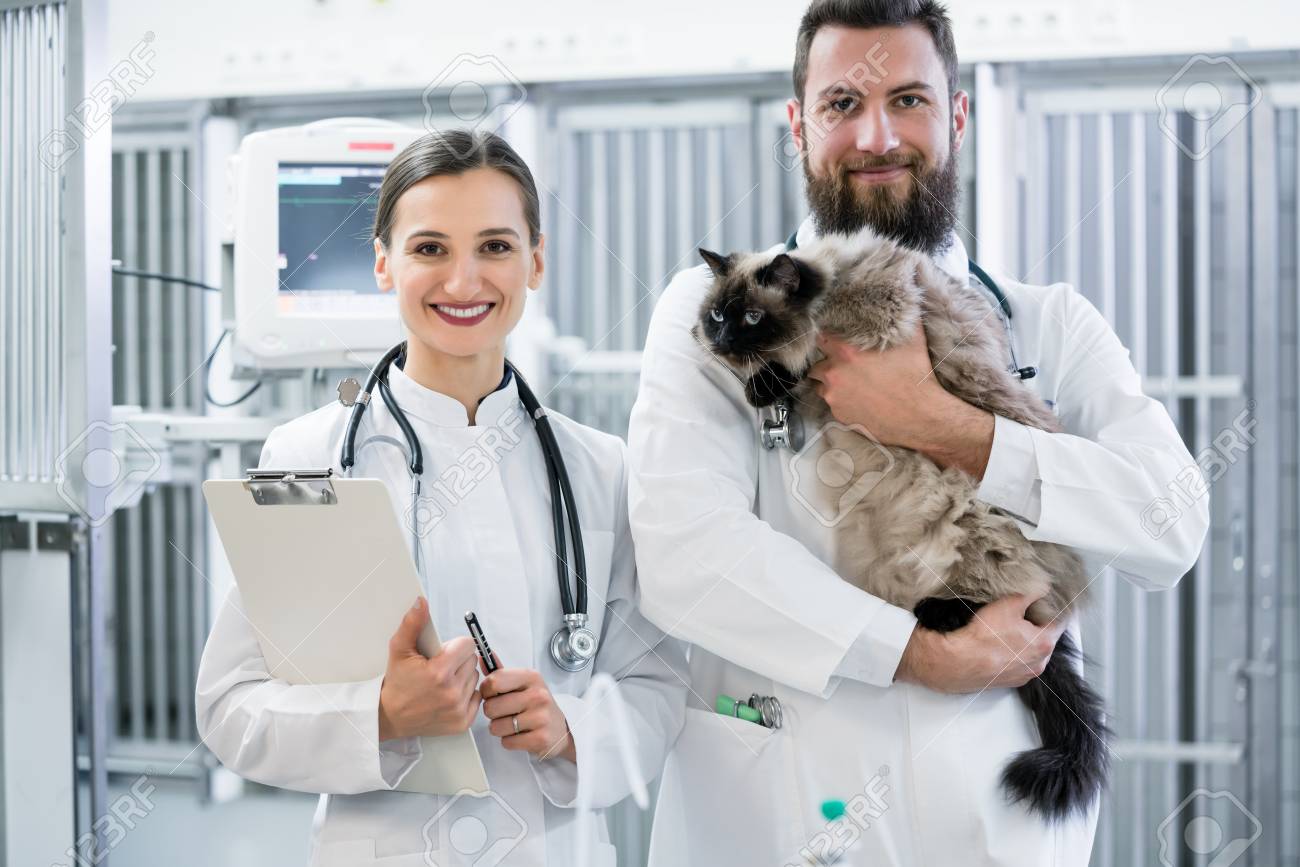 Veterinary Hospital