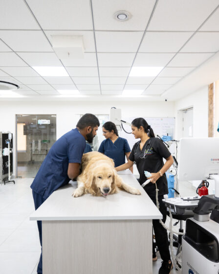 General Veterinarians