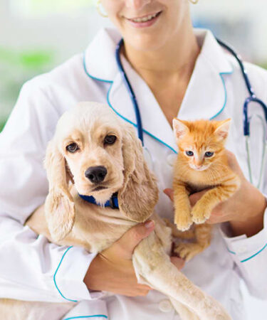 Pet Health