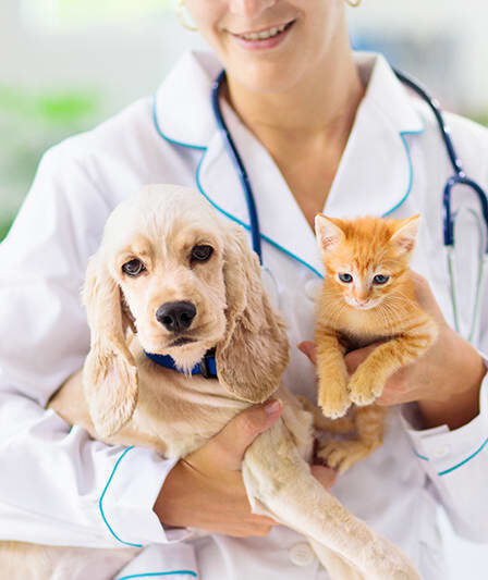 Pet Health