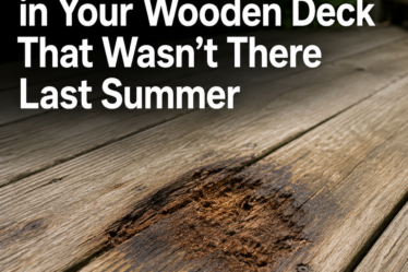 The Soft Spot in Your Wooden Deck That Wasn’t There Last Summer