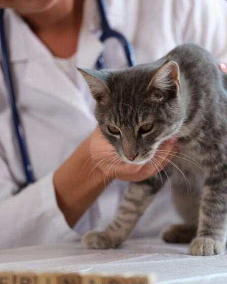Urgent Hospital Visit